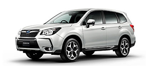 FORESTER(SJ)