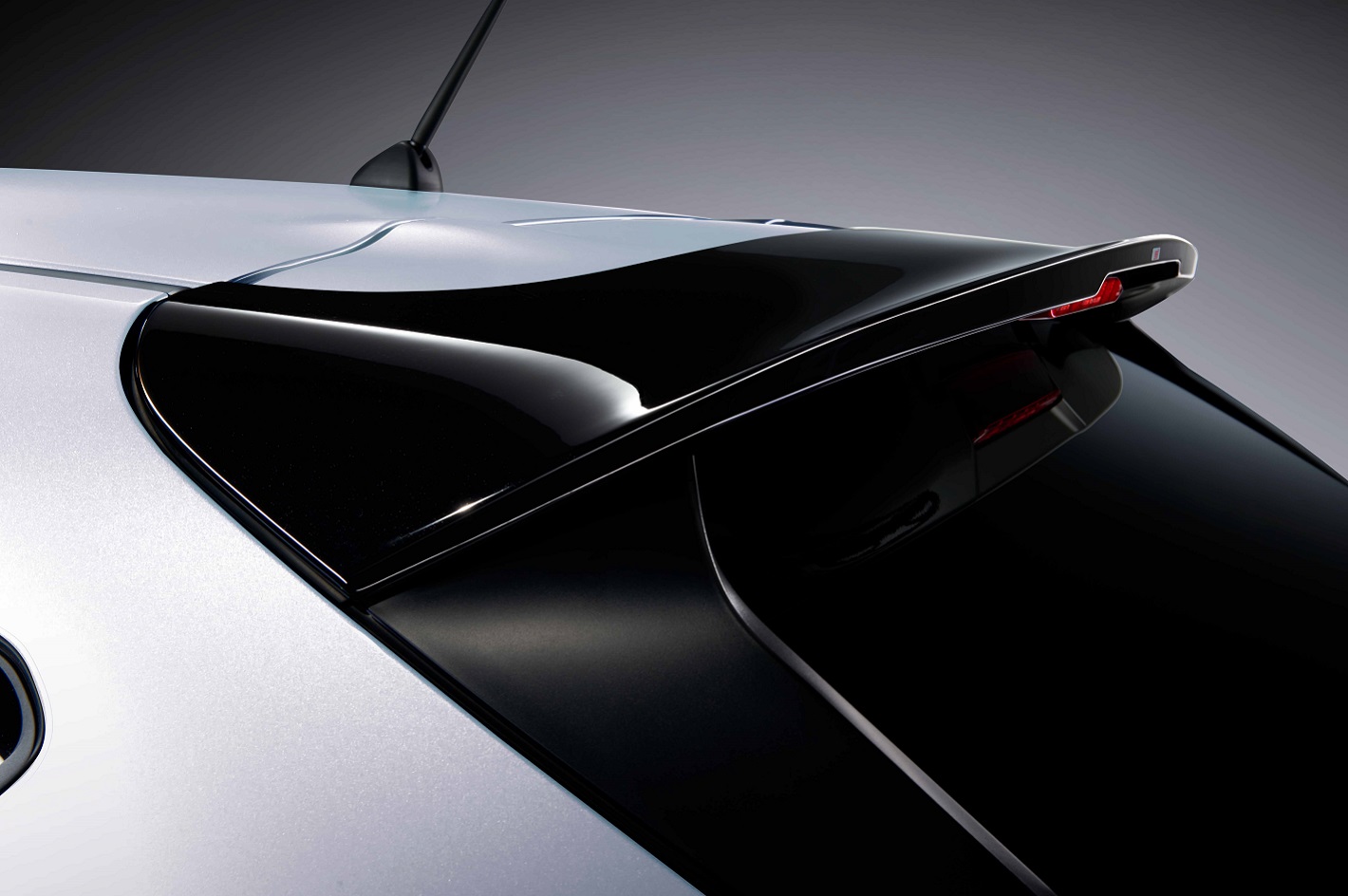 ROOF SPOILER
