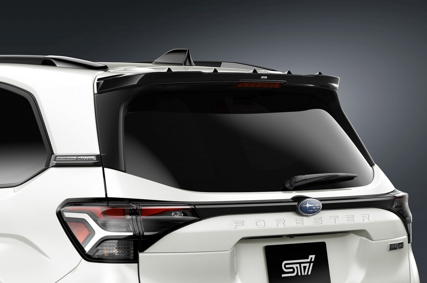 ROOF SPOILER
